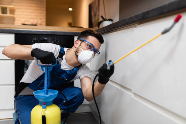 Best Local Pest Control Services  in Garland, UT