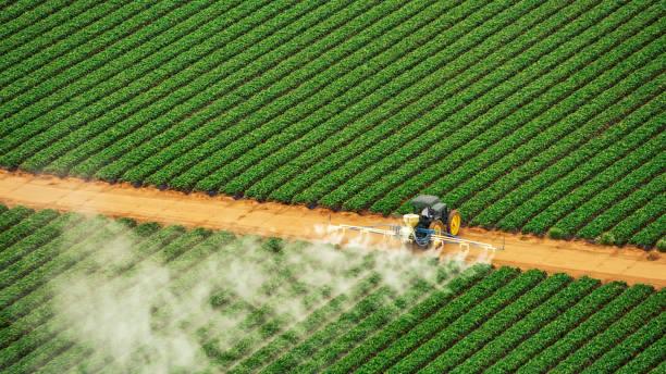 Best Mosquito Control Services  in Garland, UT
