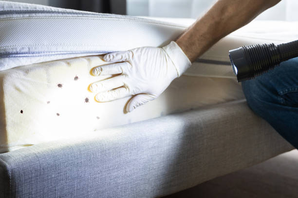 Best Pest Control Near Me  in Garland, UT