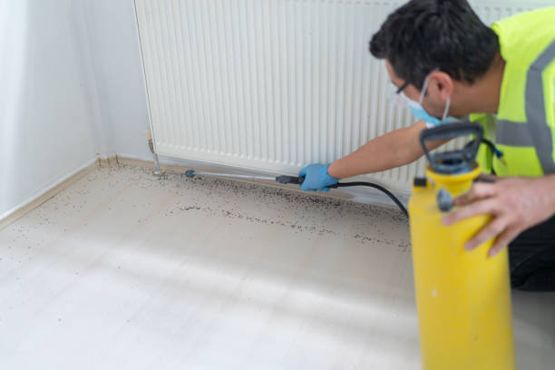 Best Exterminator Services  in Garland, UT